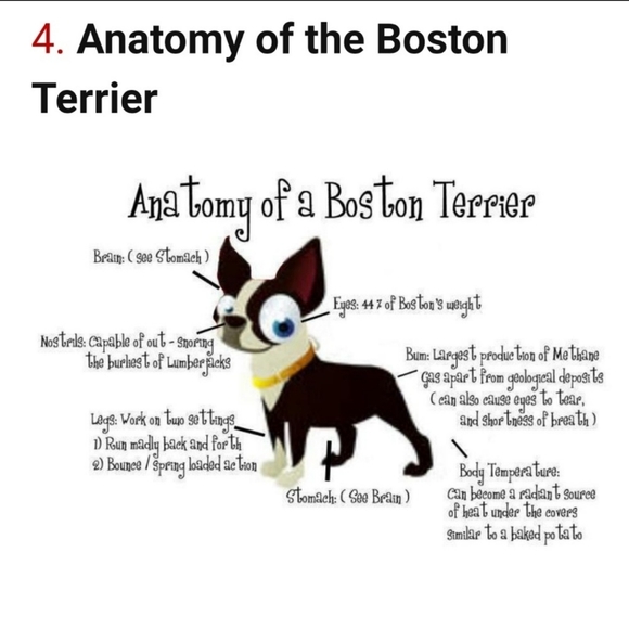 🐾🐾 Thank-Q For Shopping Small Bizniz!!! 🐾 - Picture 6 of 6